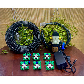 Bộ phun sương tưới lan tự động và bơm mini