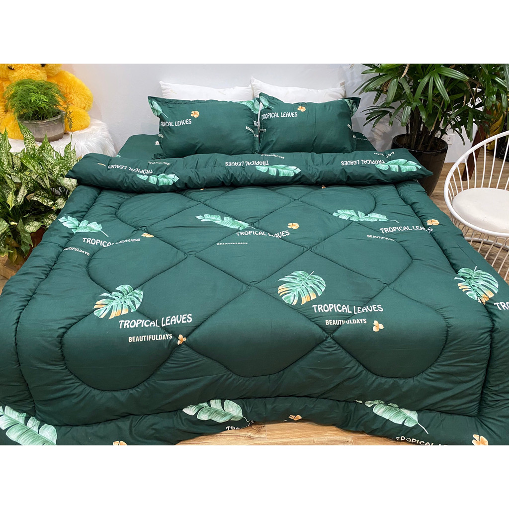 Bộ ga gối 3 món cotton poly 1m6x2m/ 1m8x2m/ 2m2x2m DULCETT