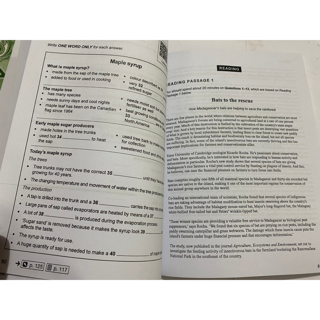 COMBO CAM IE 8-17 & AUDIO