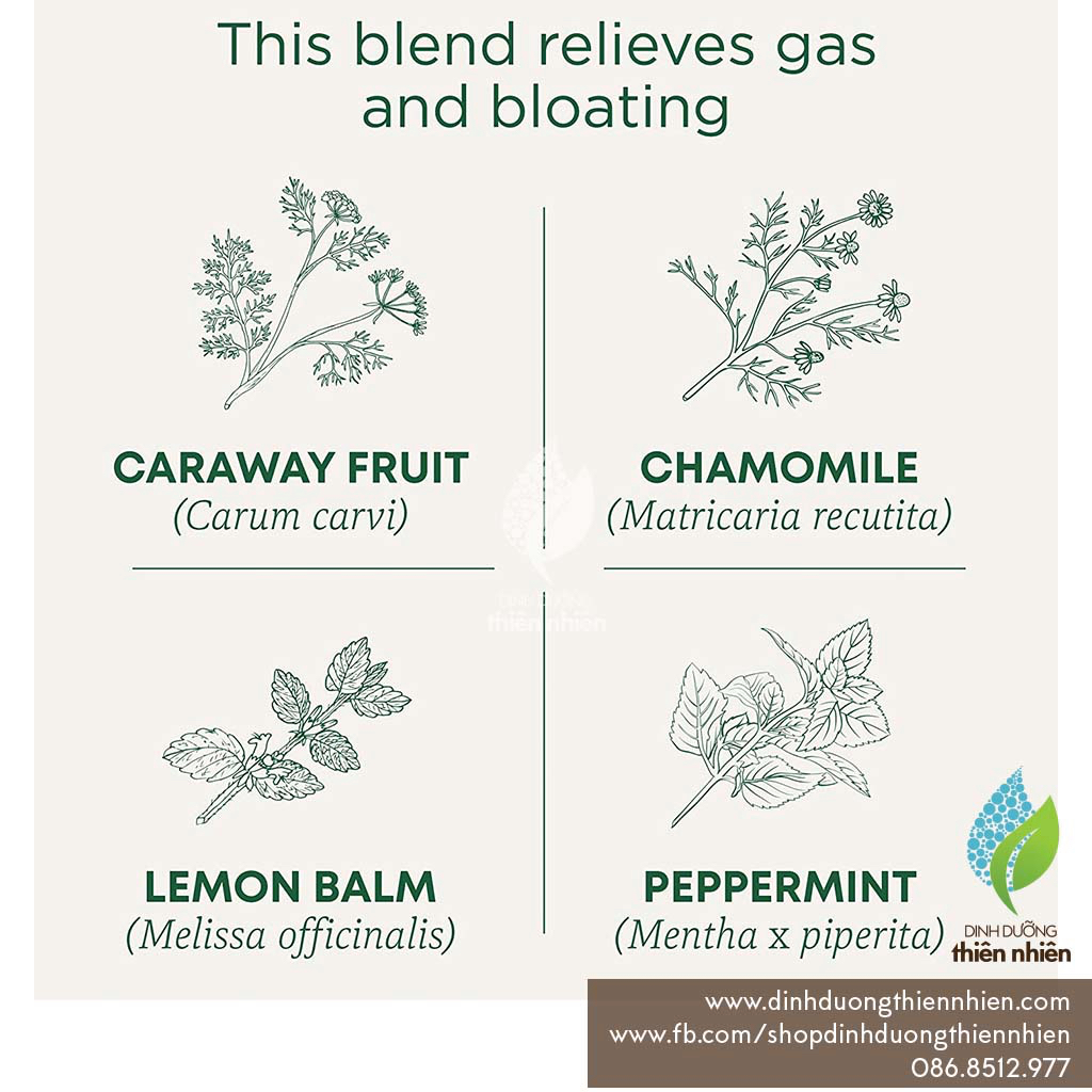 Trà Hữu Cơ Giảm Đầy Hơi, Chướng Bụng, Khó Tiêu, Hỗ Trợ Tiêu Hoá Traditional Medicinal Gas Relief Organic Tea