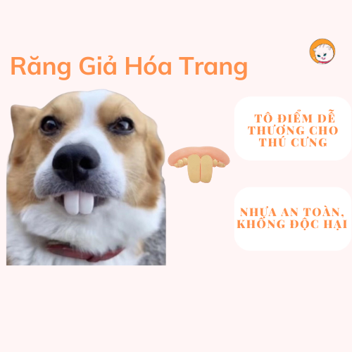 răng giả hề hước dụng cụ chụp ảnh đặc biệt rành cho cún cưng và bạn thân