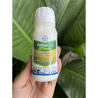 Folicur 430sc - chuyên thán thư trên cây hoa màu chai 100ml