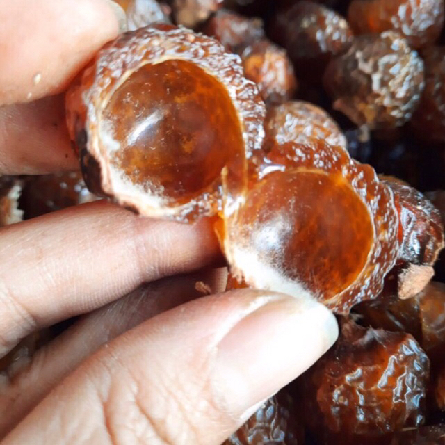 Bồ Hòn Tách Hạt Vụ Mới  500g
