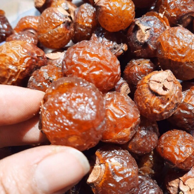 Bồ Hòn Tách Hạt Vụ Mới  500g