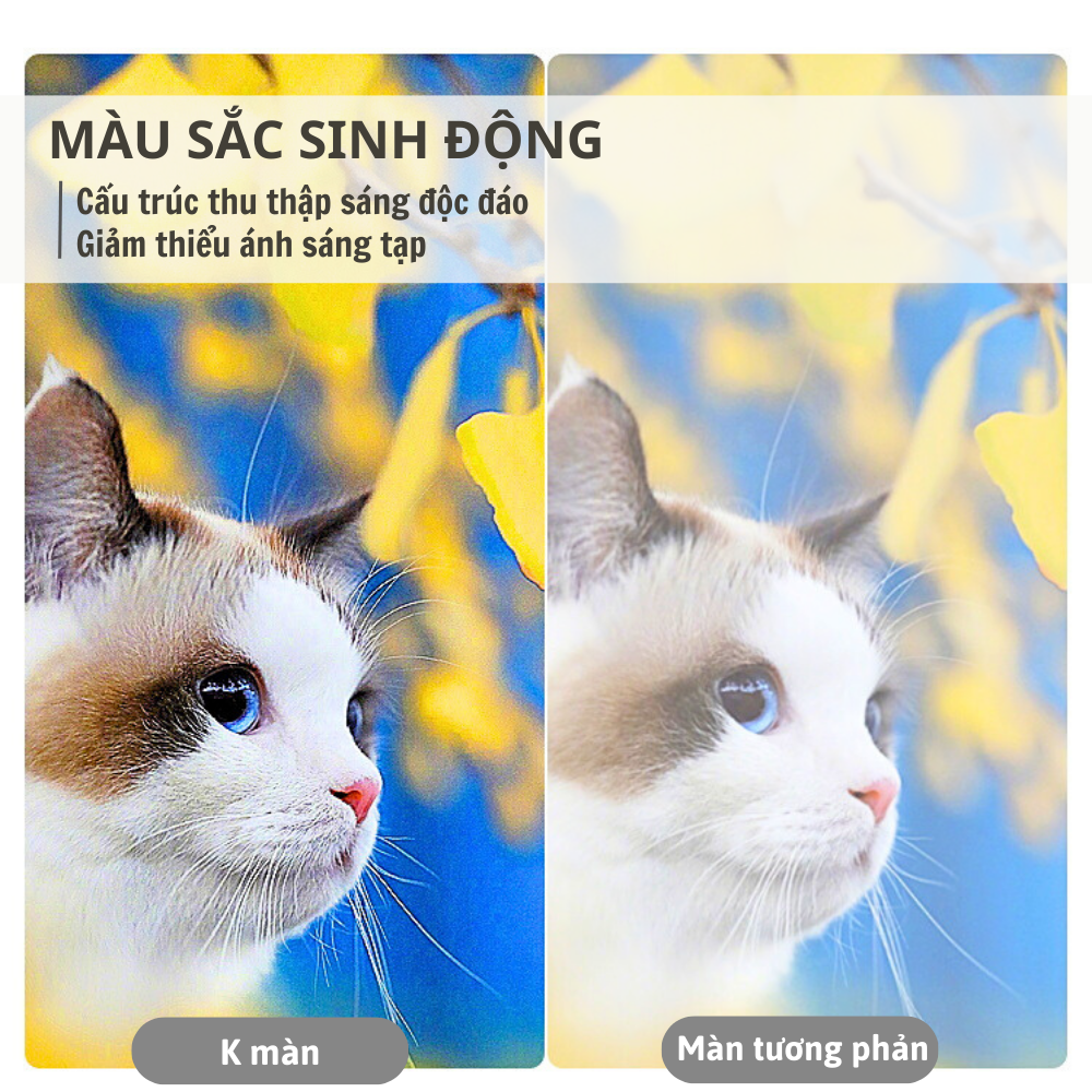 Màn Hình Máy Chiếu Tương Phản Cao Beemi Tăng Độ Nét Sáng Cho Hình Ảnh Treo Tường Có Thể Gấp Gọn B204