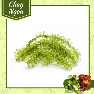 Rong nho tách nước 100g ⚡ SIÊU NGON ⚡ Rong nho siêu giòn, dễ chế biến, trộn salad cực ngon