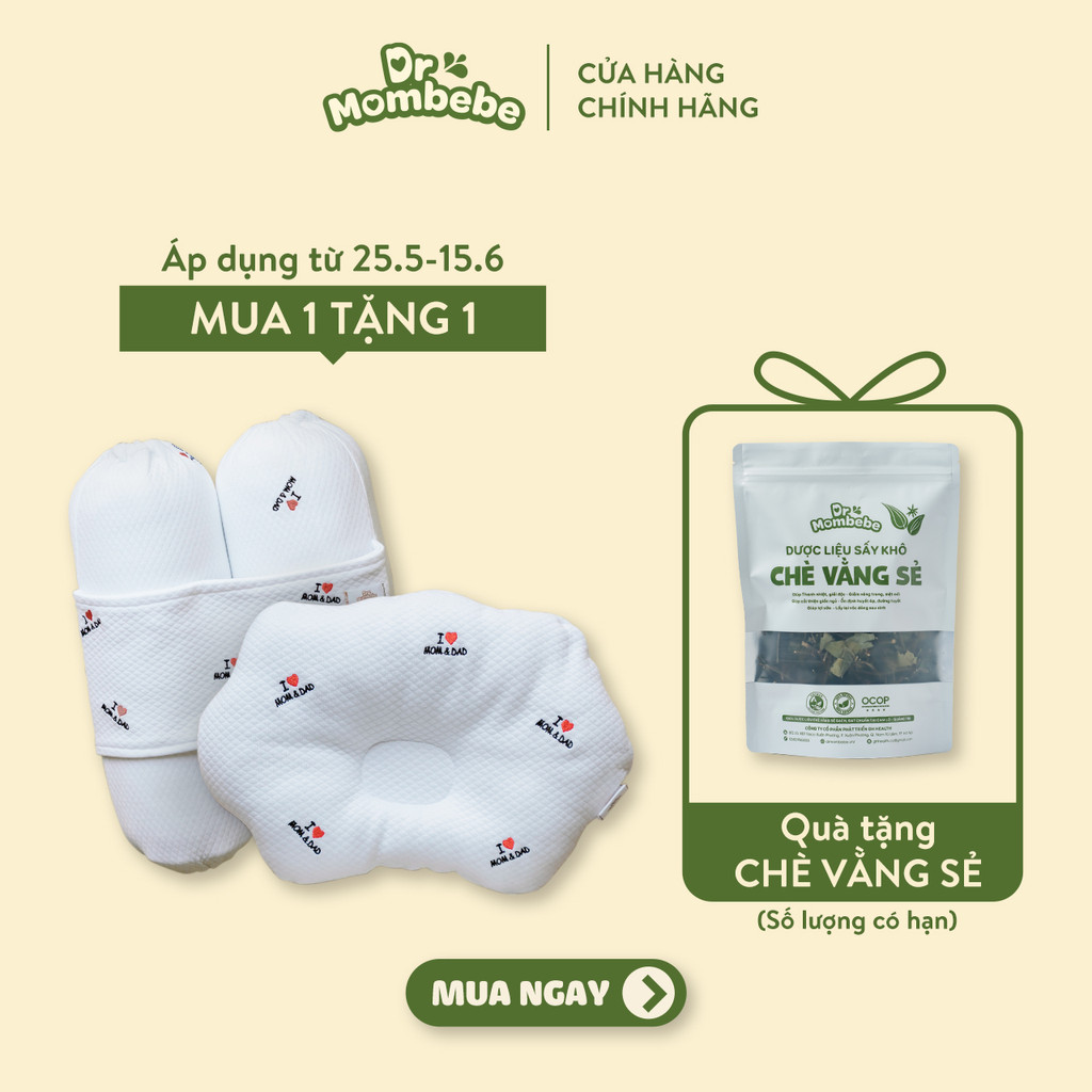 Bộ gối chặn bông kèm gối lõm vải thở Hàn quốc thêu hình 5 màu siêu đẹp cho bé sơ sinh