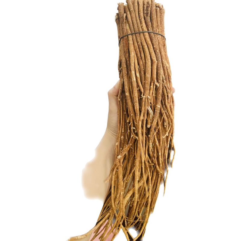 Hoàng Kỳ Bắc nguyên cây chuẩn loại 1[500g-1kg]