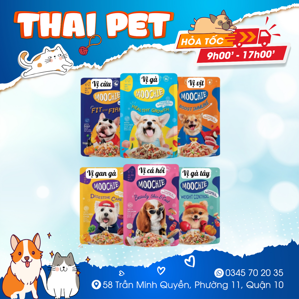 Pate Moochie Chó 85g