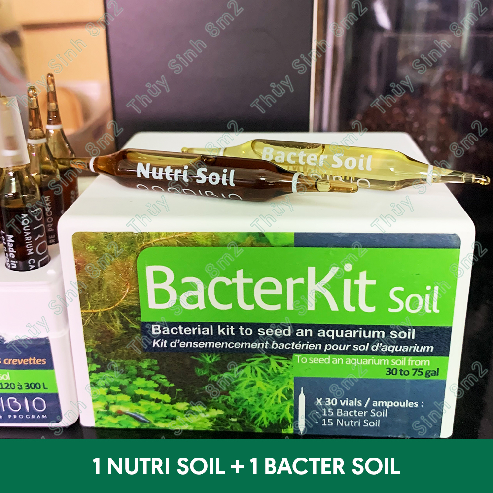 Bộ Vi Sinh Đất Nền Bacter Kit Soil Prodibio | Vi Sinh Cho Phân Nền Thủy Sinh | 8m2