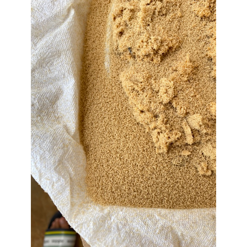 Hộp trứng thu từ 2kg đến 10kg sâu. Dành cho nuôi chim cá cảnh hoặc nuôi xử lý rác gia đình