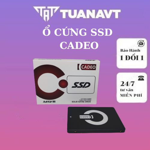 Ổ cứng SSD CADEO MỚI 100% Bảo Hành 3 Năm