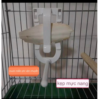 Kẹp nang mực có cần đứng cho chim