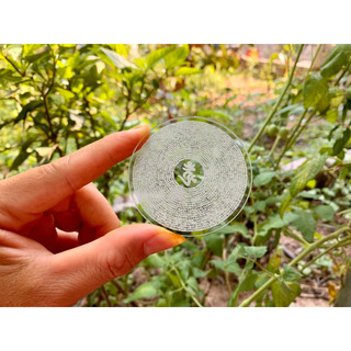 Chú Lăng Nghiêm Phật Pháp