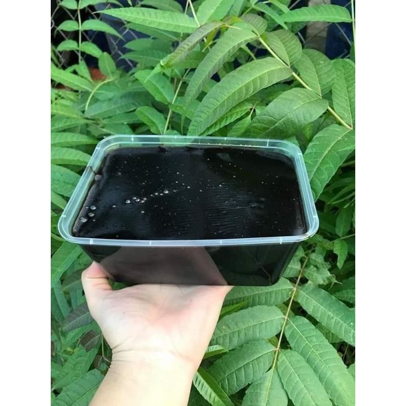 Thạch đen Cao Bằng hộp 500g