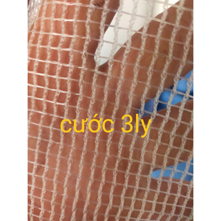 Tráng nuôi ốc ếch nhiều kích thước