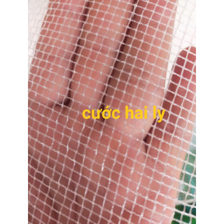 Tráng nuôi ốc ếch nhiều kích thước