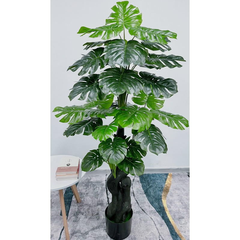 Cây giả -Cây trầu bà lá xẻ thân cổ thụ cao cấp 1,8m decor bền đẹp