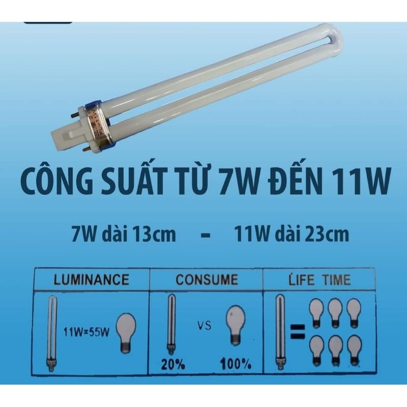 Bóng Đèn Học ComPact Huỳnh Quang 7W - 11W Ánh Sáng Trắng, Vàng - Chất Lượng Tốt
