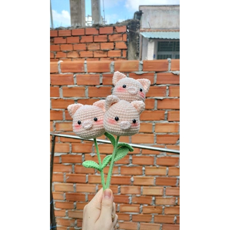 Hoa heo len - -
