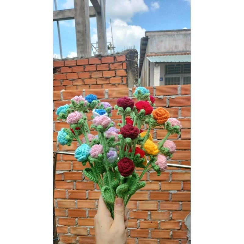 Hoa heo len - -