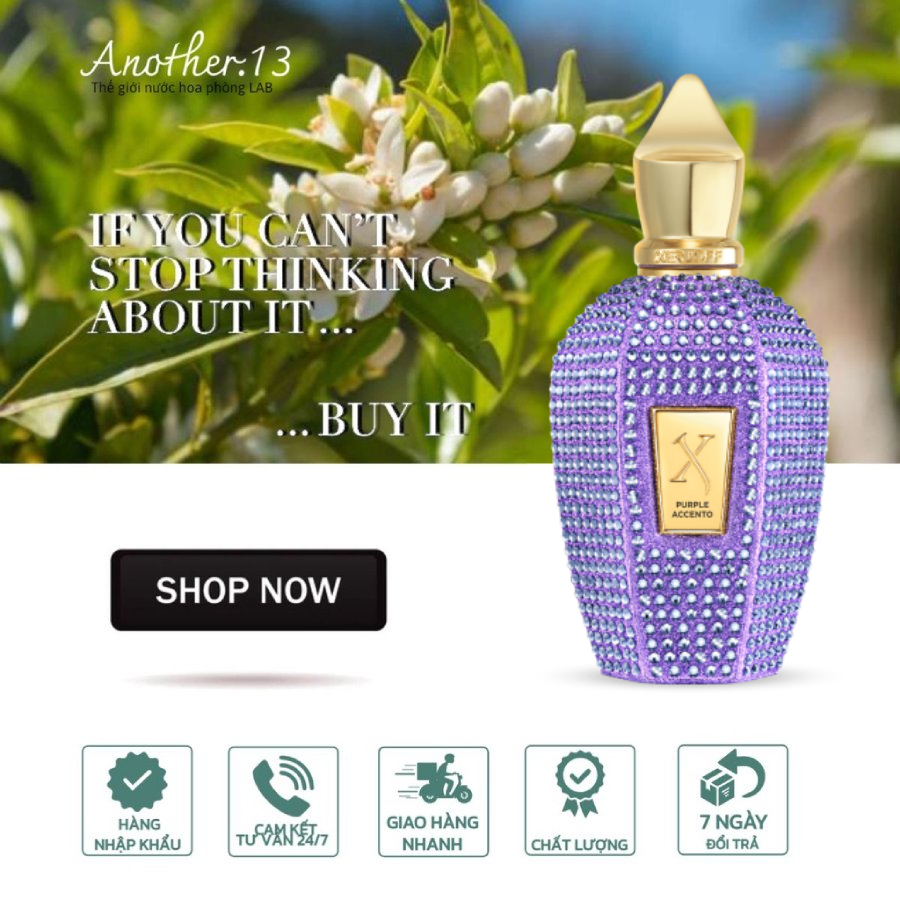 Nước hoa Xerjoff Purple Accento Limited / EDP