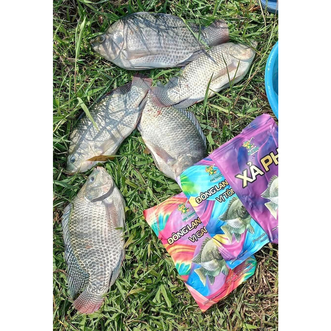 Sữa câu cá trắm cỏ, trôi, chép chính hãng Phú Thành 100ml