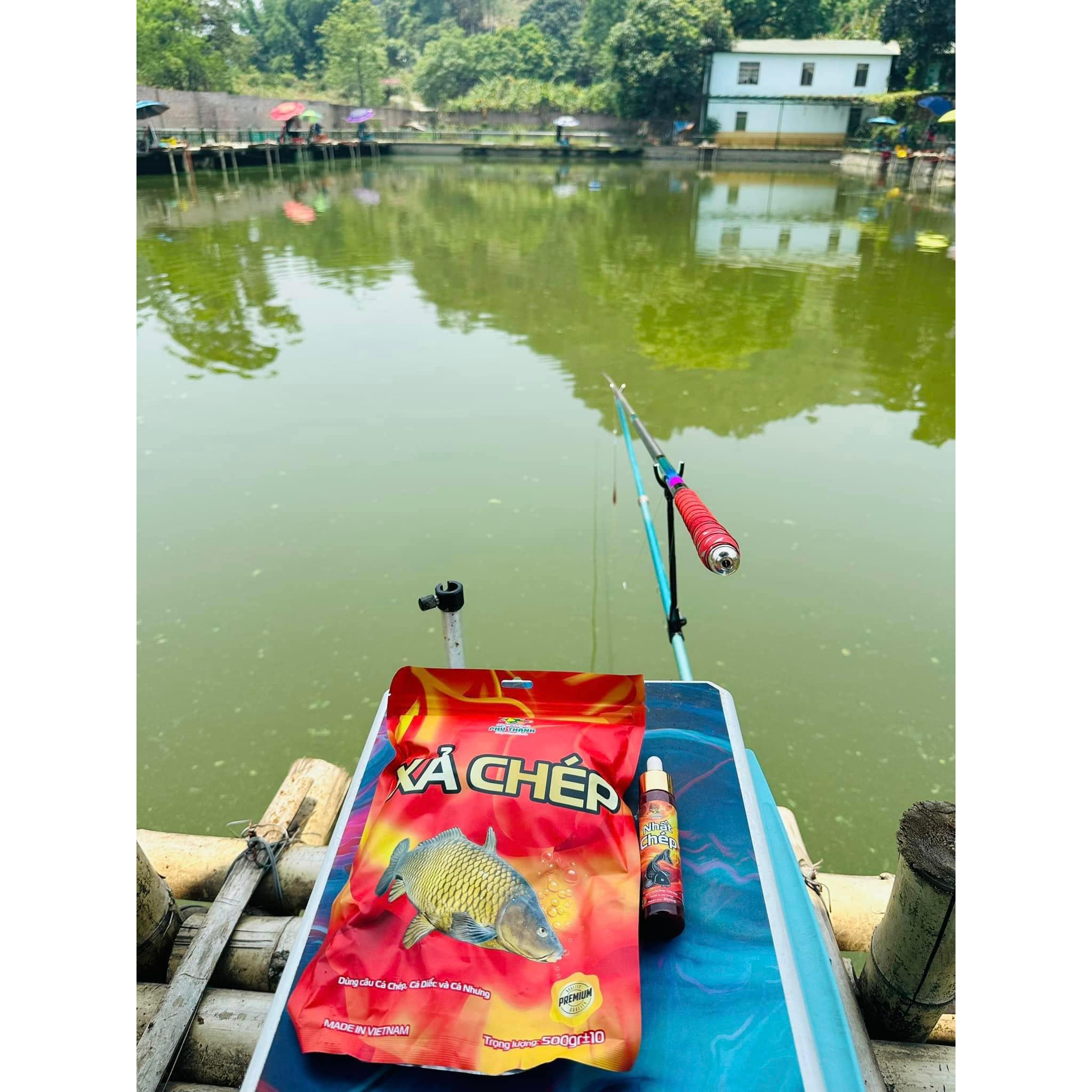 Sữa câu cá trắm cỏ, trôi, chép chính hãng Phú Thành 100ml