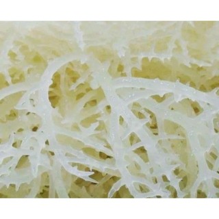 l(200g)rong sụn nấu chè ,lam gỏi..