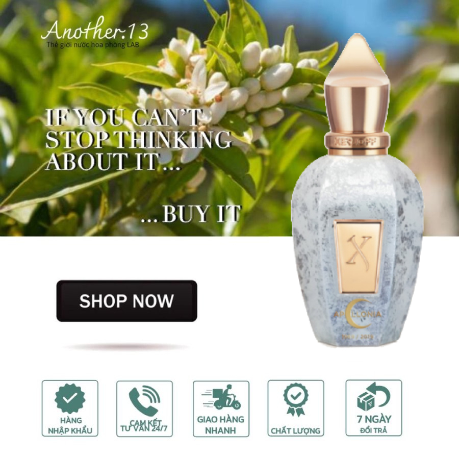 Nước hoa Xerjoff Apollonia / EDP