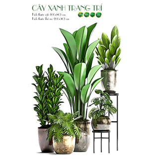 Decal dán tường chậu cây group - trang trí nhà cửa