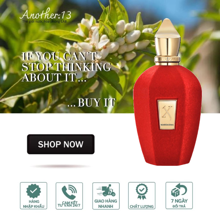 Nước hoa Xerjoff Wardasina / EDP
