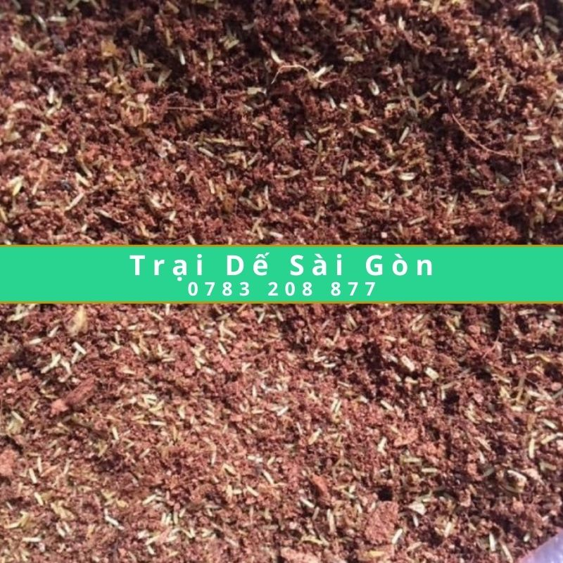 2 Khay Tru ng De Menn Thai 48h - Trại Dế Sài Gòn