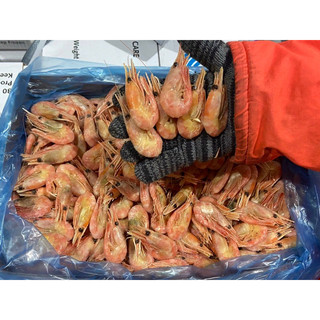 TÔM BẮC CỰC ĐÔNG LẠNH Bịch 1kg (giao tphcm)