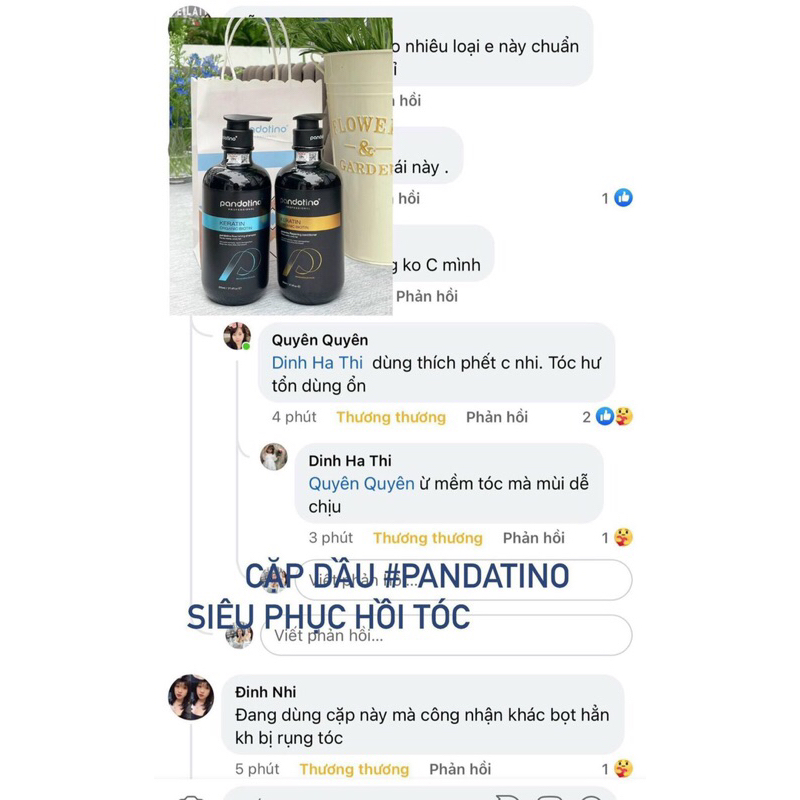 Cặp gội xả Pandotino  kích mọc tóc ,hương thơm mát 800ml