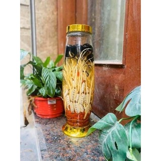Sâm Ô Linh Việt 100gr