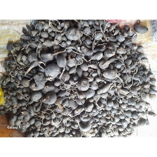 Sâm Ô Linh Việt 100gr