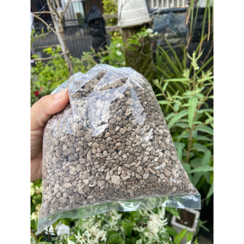 Đá bọt núi lửa pumice