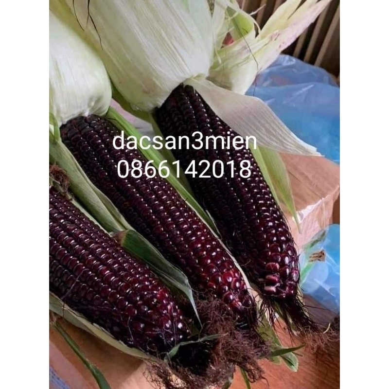 Ngô tím nữ hoàng đóng gói hút chân không 1kg