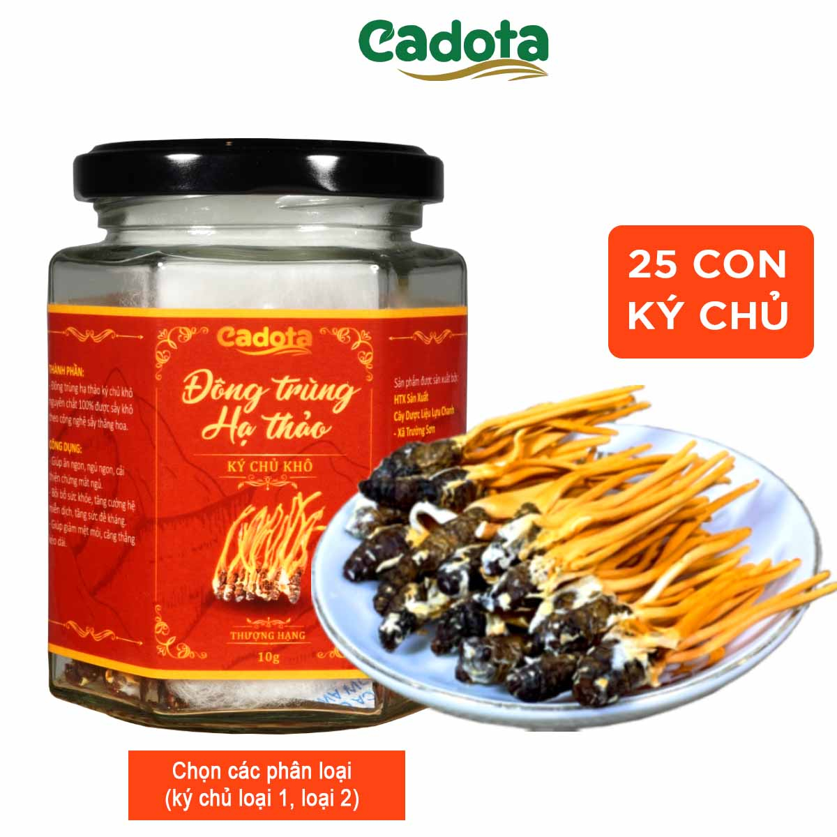 25 Con Đông Trùng Hạ Thảo Ký Chủ Nhộng Tằm Sấy Thăng Hoa Cao Cấp (có 2 phân loại ký chủ)