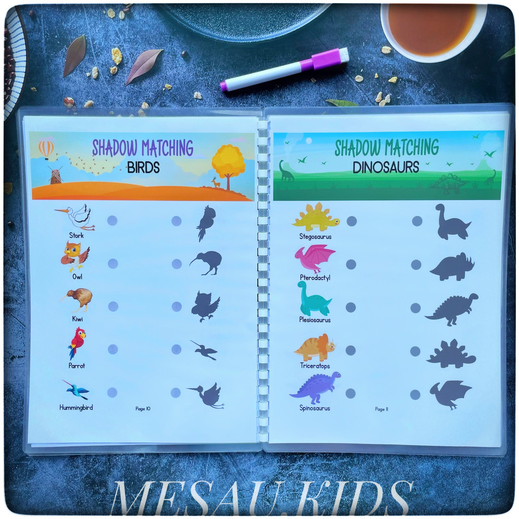 Đồ Chơi Giáo Dục Montessori Nối Hình Bóng Đồ Chơi Tư Duy Logic , Học Liệu Tô Xóa Thông Minh Cho Bé MESAUKIDS