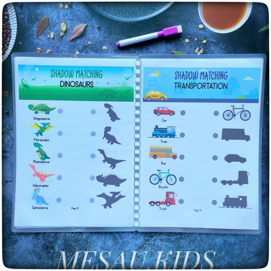 Đồ Chơi Giáo Dục Montessori Nối Hình Bóng Đồ Chơi Tư Duy Logic , Học Liệu Tô Xóa Thông Minh Cho Bé MESAUKIDS