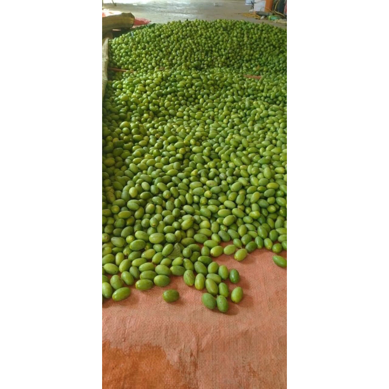 Trám xanh dầm mắm ớt