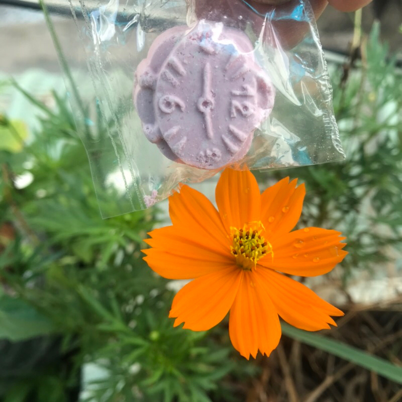 Bánh bột linh đặc sản bình địnhcombo 25cai-BigLove