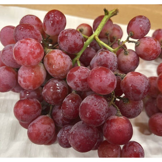 Nho đỏ có hạt red globe chile - 1kg -foodmap fruits