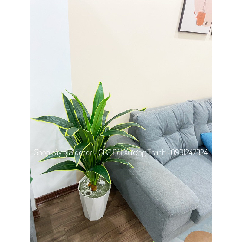 cây thiết mộc lan 1m - cây giả trang trí