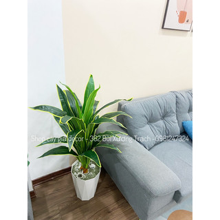 Cây thiết mộc lan 1m - cây giả trang trí