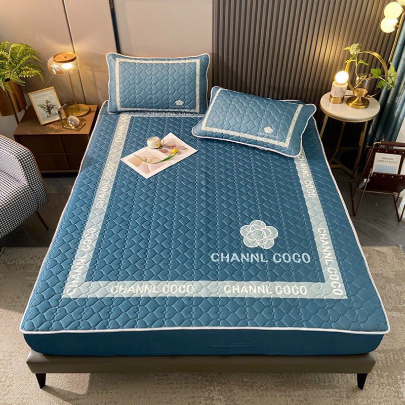 Chiếu Điều Hoà Cao Su Non 5D Thương Hiệu Coco Tặng Kèm 2 Vỏ Gối