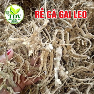500g Rễ Cà gai leo khô giải độc Gan cực tốt