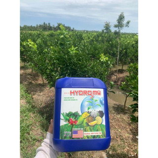 Hydro Mỹ - Can Xanh